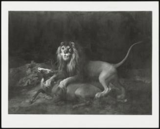 A Lion Attacking A Stag - One Of A Pair