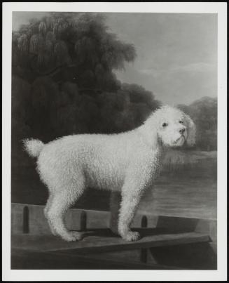 White Poodle In A Boat, C 1760's (White Poodle In A Punt)