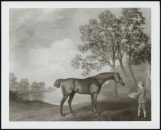 Pumpkin With A Stable Lad, 1774 (The Racehorse Pumpkin With A Stable Lad)