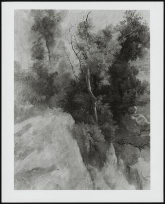 Landscape with Rocks