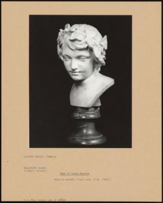 Head of Young Bacchus