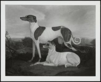 Two Greyhounds in a Landscape