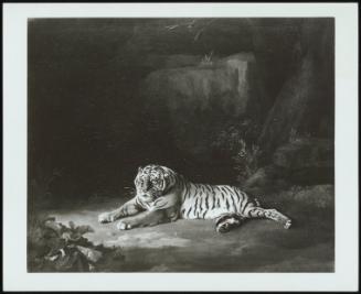 Tiger, C 1760's (A Tigress Lying Below Rocks)