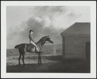 Portrait Of The Racehorse Otho With Jockey John Larkin Up