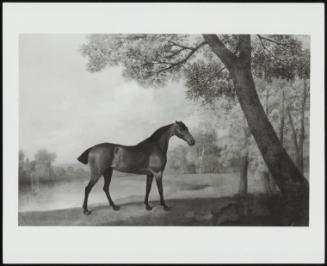 A Bay Hunter In A Landscape, 1787