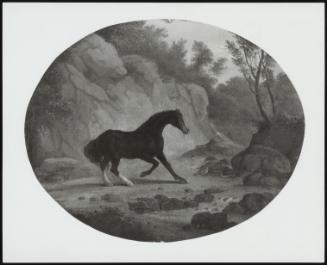 A Horse Frightened By A Snake, 1792