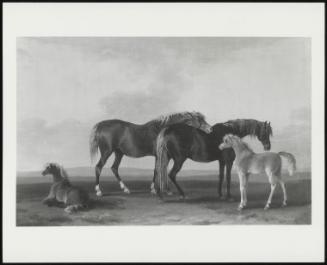 Mares With Their Foals, Facing Right