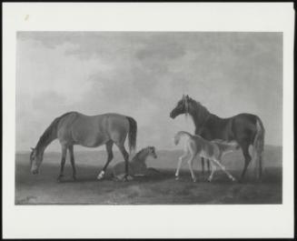 Mares With Their Foals, Facing Left