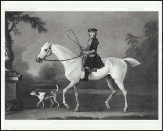 Sir Roger Burgoyne Riding 'badger'