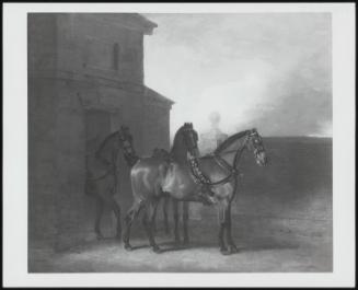 Three Carriage Horses In A Stable Yard, 1802