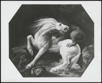 A Lion Attacking A Horse