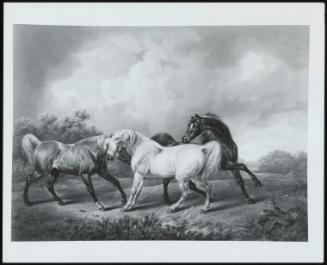 Two Stallions and a Mare in a Stormy Landscape