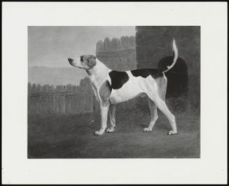 Foxhound Outside Kennel, 1803