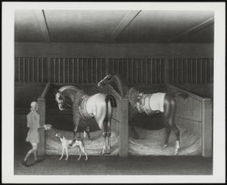 Two Horses And A Groom In A Stable