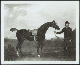 A Portrait Of The Racehorse Fox (Commonly Called Old Fox) Held By His Groom