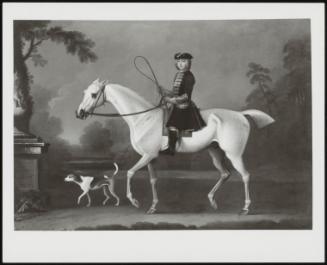 Sir Roger Burgoyne Riding His Grey Hunter Badger, With The Bitch, Juno, In The Grounds Of Sutton Park