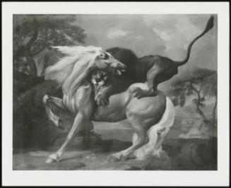 Lion Attacking A Horse, C 1760-1765