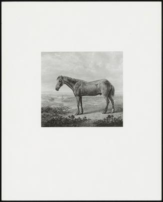 Billy, a Pony Standing in a Landscape, 1823