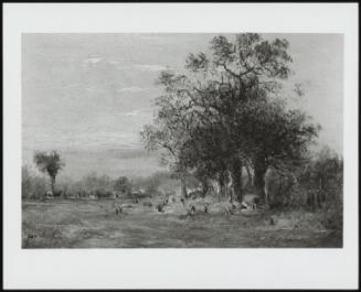 Sheep Grazing, June 16, 1835