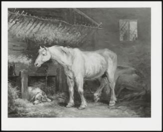 Stable Scene With Horses And Dog