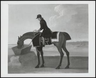 The Racehorse, Bay Bolton, With Groom Up Drinking At A Through On Newmarket Heath