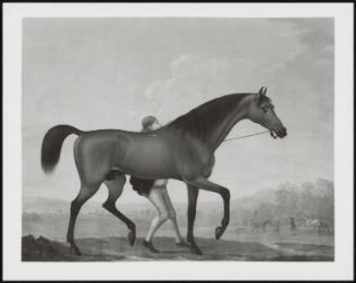 King Herod, A Bay Stallion, With A Stable Boy In An Open Landscape, Other Horses Exercisiing Beyond