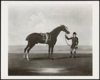 Racehorse And Jockey In Blue, Dismounted