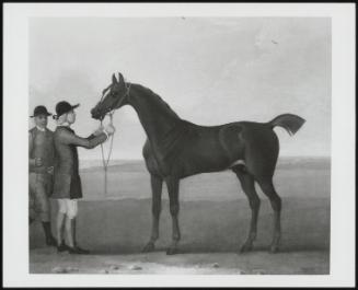 A Chestnut Racehorse With Jockey And Groom On Newmarket Heath