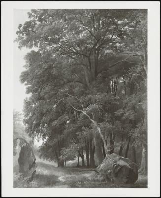 Wooded Landscape with Large Rocks in Foreground