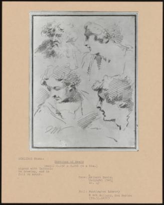 Sketches Of Heads