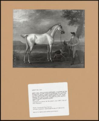 Grey Cary, Son Of Grey Ramsden; A Hunter In The Stable Of The 2nd Duke Of Richmond, At The Time Of Charlton Hunt; Mentioned In The 'hunt Papers' In 1738 To 1740, He Died In 1740; With A Groom In Red Undress Livery