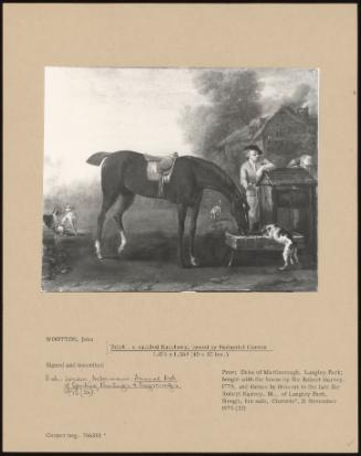 Brisk', a Saddled Racehorse Owned by Nathaniel Curzon