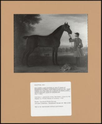 Red Robin; A Bay Hunter In The 2nd Duke Of Richmond's Stable, First Mentioned In The 'hunt Papers' In 1742; Held By A Groom In State Livery ; With A Distant View Of Chichester