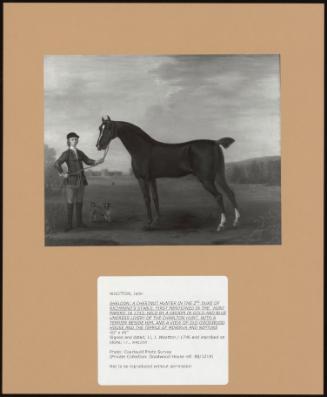 Sheldon: A Chestnut Hunter In The 2nd Duke Of Richmond's Stable, First Mentioned In The 'hunt Papers' In 1743; Held By An Groom In Gold And Blue Undress Livery Of The Charlton Hunt, With A Terrier Beside Him, A A View Of Old Goodwood House And The Temple Of Minerva And Neptune