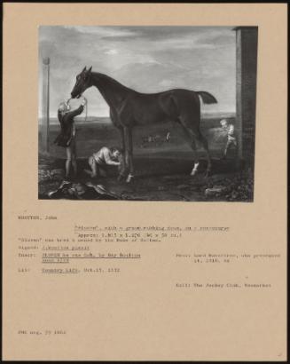 Sloven with a Groom Rubbing Down, on a Racecourse