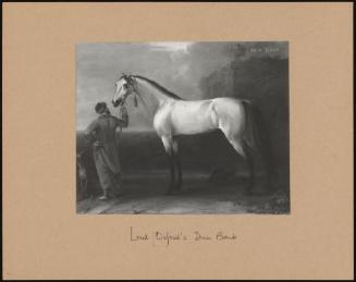 Lord Oxford's 'dun Barb' (Signed) (Pair to Bloody Shouldered Stallion)