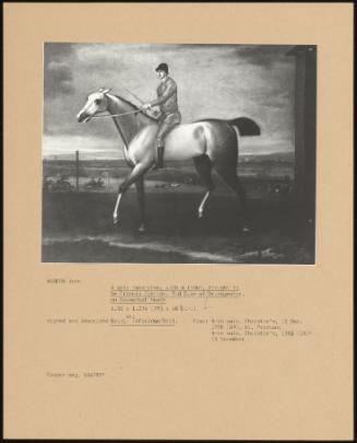 A Grey Racehorse With A Rider, Thought To Be Francis Egerton, 3rd Duke Of Bridgewater, On Newmarket Heath