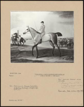 Coneyskins, a Grey Racehorse with Jockey Up