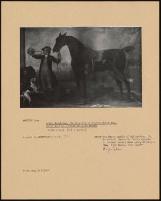 A Bay Racehorse, The Property Of Richard Smyth Esq., Being Held By A Groom With Hounds