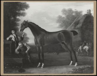 Portrait of the Racehorse "Flying Childers"