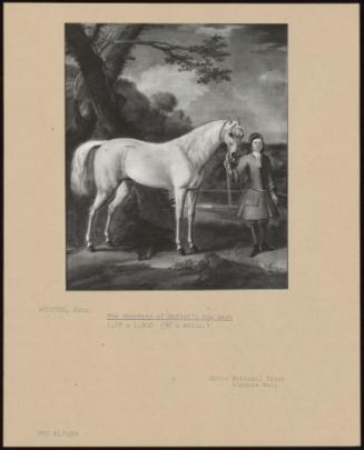 The Countess of Oxford's Dun Mare