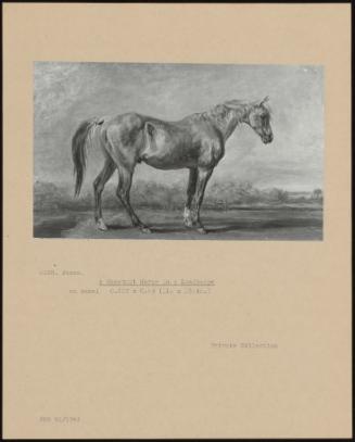 A Chestnut Horse in a Landscape