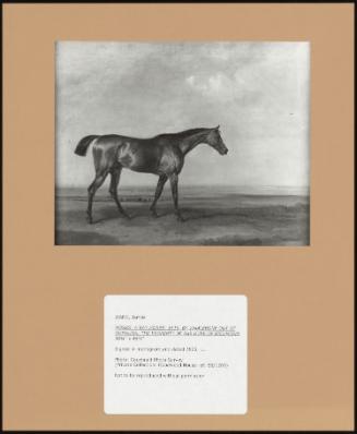 Moses: a Bay Horse, 1819, by Whalebone Out of Gohana; the Property of the Duke of Richmond