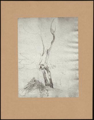 Study Of A Tree With Figures P. 26