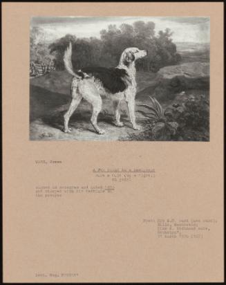 A Fox Hound in a Landscape