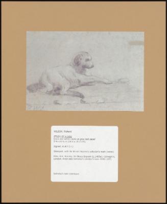 STUDY OF A DOG