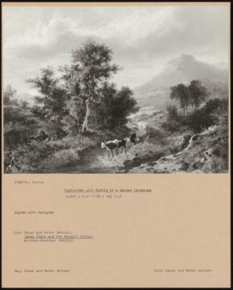 Highlander With Cattle In An Wooded Landscape