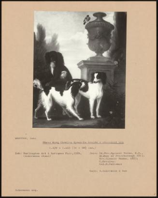 Three King Charles Spaniels Beside A Classical Urn