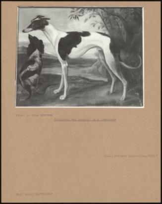 Greyhound And Spaniel In A Landscape