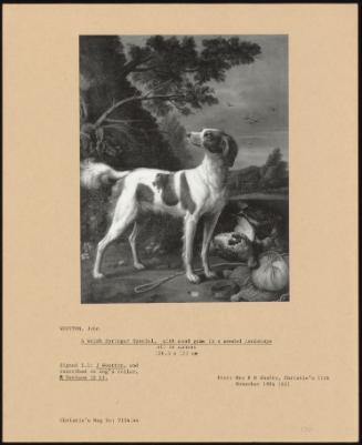 A Welsh Springer Spaniel, With Dead Game In A Wooded Landscape